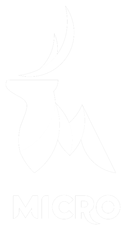 مركز مايكرو